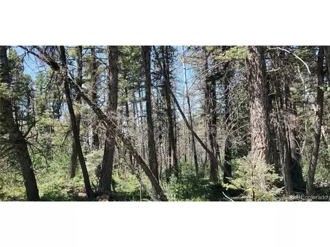5874 Pedersen Rd, San Luis, CO 81152