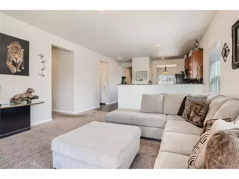 4142 E 95th Cir, Thornton, CO 80229 photo 4