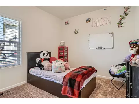 4142 E 95th Cir, Thornton, CO 80229 photo 11