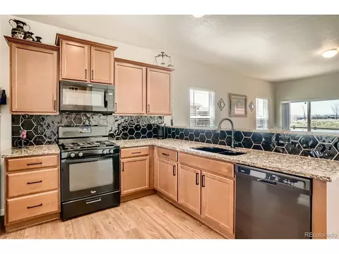 4142 E 95th Cir, Thornton, CO 80229 photo 6