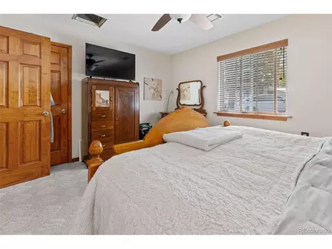 161 Sullivan St, Bailey, CO 80421 photo 11