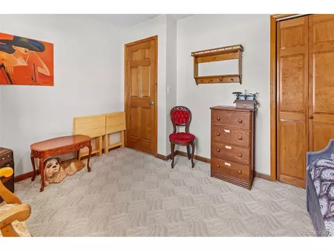 161 Sullivan St, Bailey, CO 80421 photo 15