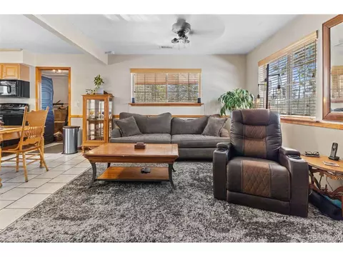 161 Sullivan St, Bailey, CO 80421 photo 4