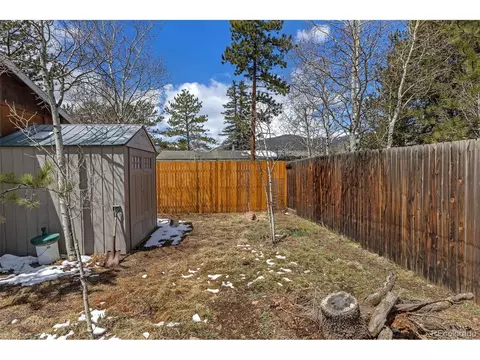 161 Sullivan St, Bailey, CO 80421 photo 24