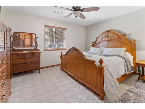 161 Sullivan St, Bailey, CO 80421 photo 10
