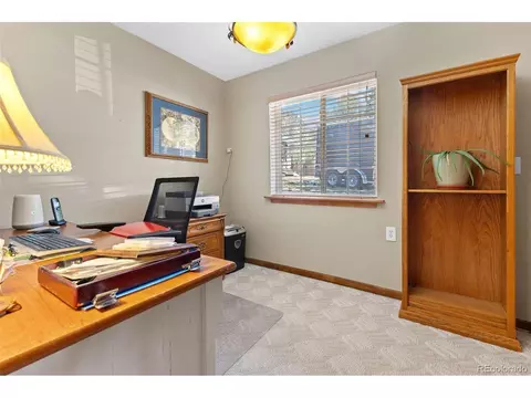 161 Sullivan St, Bailey, CO 80421 photo 16