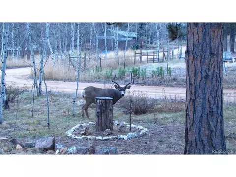 161 Sullivan St, Bailey, CO 80421 photo 31