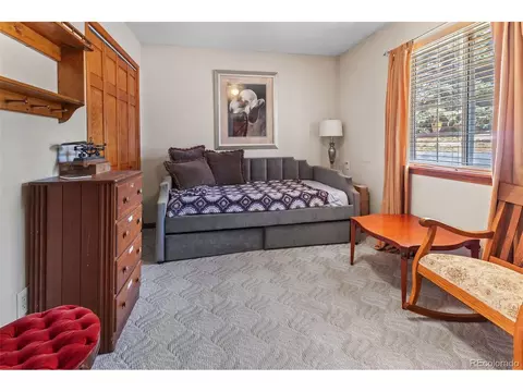161 Sullivan St, Bailey, CO 80421 photo 13