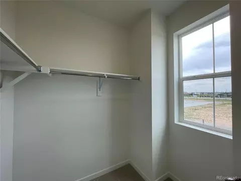 5516 Second Ave, Timnath, CO 80547 photo 8
