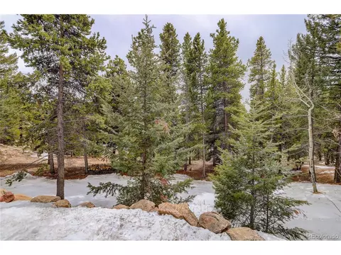 10997 Timothys Dr, Conifer, CO 80433 photo 35