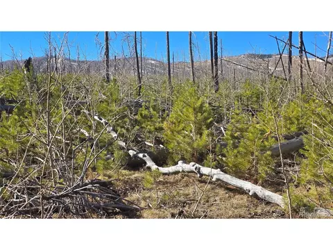 1460 Von Heyl Ln, Fort Garland, CO 81133