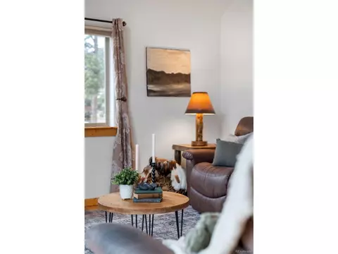 Living - 34 S Circle Dr, Bailey, CO 80421 photo 3 of 6
