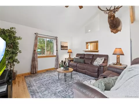 Living - 34 S Circle Dr, Bailey, CO 80421 photo 4 of 6