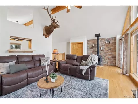 Living - 34 S Circle Dr, Bailey, CO 80421 photo 5 of 6