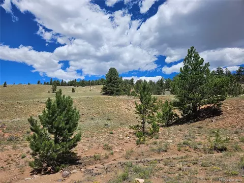 25253 Fernando Trl, Hartsel, CO 80449
