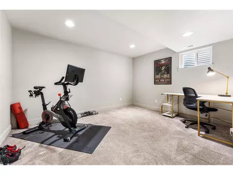 9064 E 28th Ave, Denver, CO 80238 photo 34