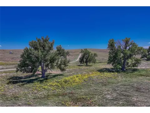 Fiddleback Ranch Rd, Kiowa, CO 80117 photo 28