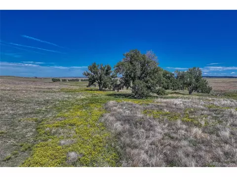 Fiddleback Ranch Rd, Kiowa, CO 80117 photo 25