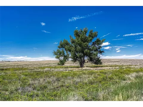 Fiddleback Ranch Rd, Kiowa, CO 80117 photo 20