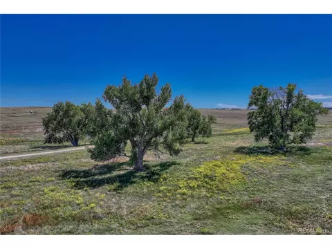 Fiddleback Ranch Rd, Kiowa, CO 80117 photo 27