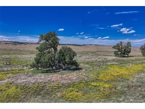 Fiddleback Ranch Rd, Kiowa, CO 80117 photo 24