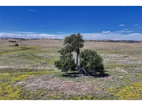 Fiddleback Ranch Rd, Kiowa, CO 80117 photo 5