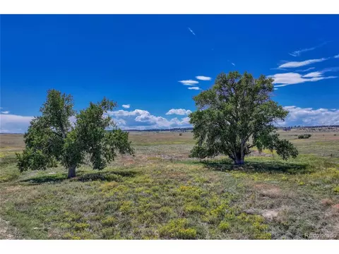 Fiddleback Ranch Rd, Kiowa, CO 80117 photo 26