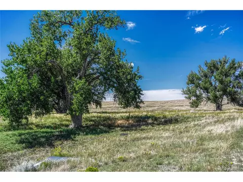 Fiddleback Ranch Rd, Kiowa, CO 80117 photo 16