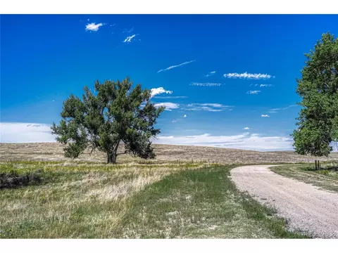 Fiddleback Ranch Rd, Kiowa, CO 80117 photo 17