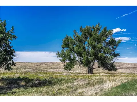 Fiddleback Ranch Rd, Kiowa, CO 80117 photo 18