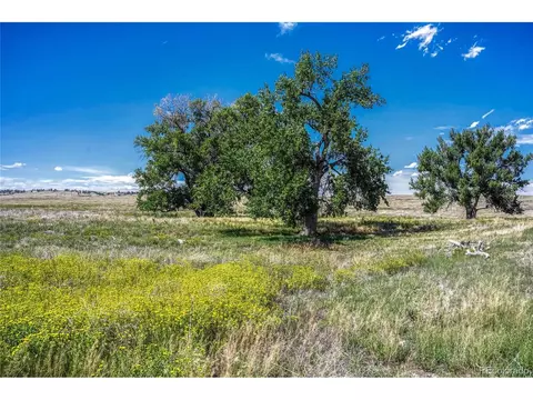 Fiddleback Ranch Rd, Kiowa, CO 80117 photo 14
