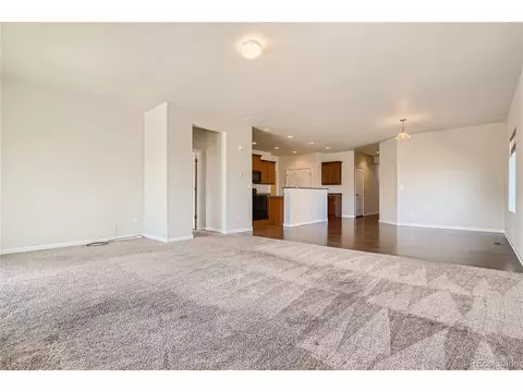 4708 E 95th Ave, Thornton, CO 80229 photo 8