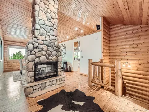 1527 S Pine Dr, Bailey, CO 80421 photo 5