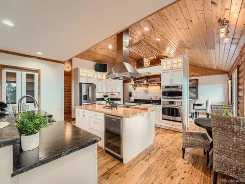1527 S Pine Dr, Bailey, CO 80421 photo 9