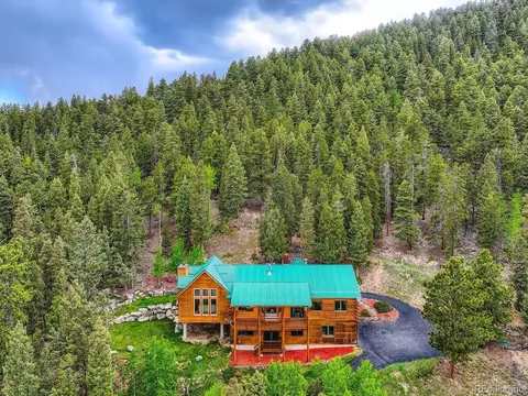 1527 S Pine Dr, Bailey, CO 80421 photo 4
