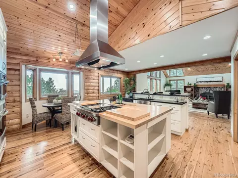 1527 S Pine Dr, Bailey, CO 80421 photo 3