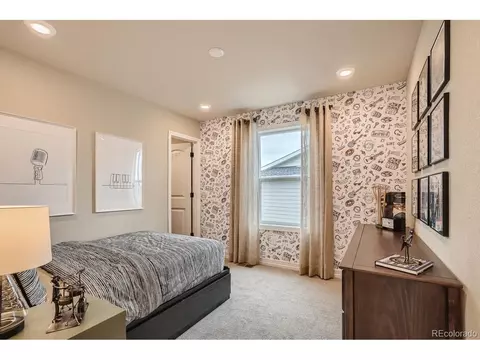 1369 Bloom St, Brighton, CO 80601 photo 20