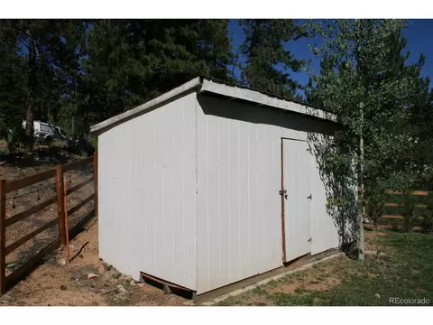 238 Taylor St, Bailey, CO 80421 photo 11
