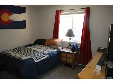 238 Taylor St, Bailey, CO 80421 photo 18