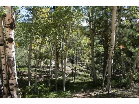 238 Taylor St, Bailey, CO 80421 photo 23
