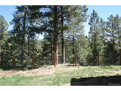 238 Taylor St, Bailey, CO 80421 photo 9