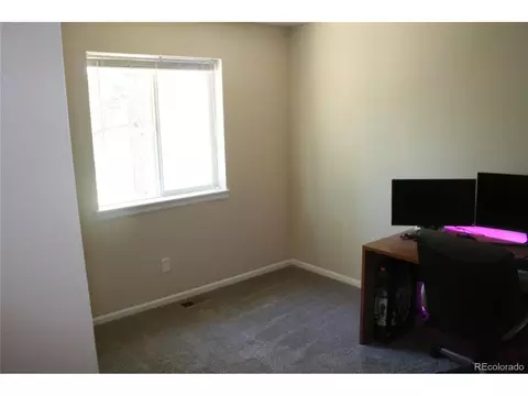 238 Taylor St, Bailey, CO 80421 photo 21