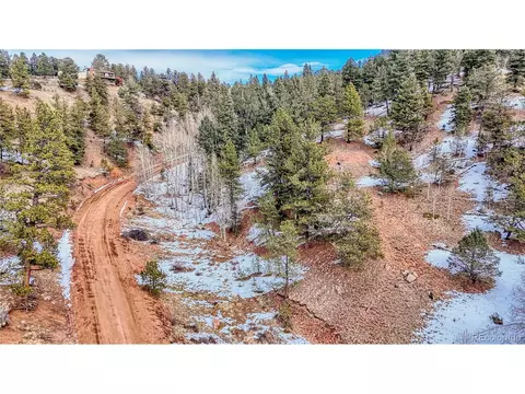 204 Idlewild Dr, Cripple Creek, CO 80813