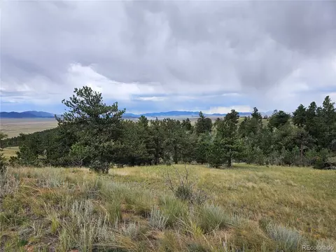 724 Pine Ln, Hartsel, CO 80449