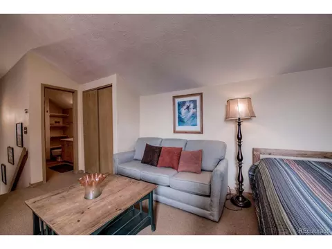 Undisclosed, Silverthorne, CO 80498 photo 27