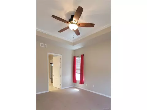 2010 Vineyard Dr, Windsor, CO 80550 photo 25