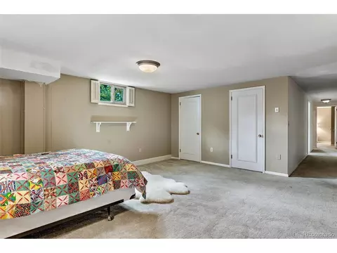 3892 S Grape St, Denver, CO 80237 photo 19