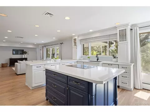 3762 S Grape St, Denver, CO 80237 photo 12