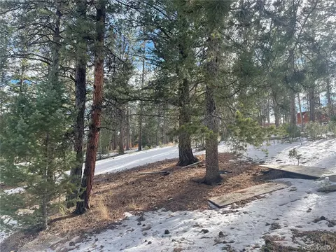 203 Neal St, Bailey, CO 80421 photo 9