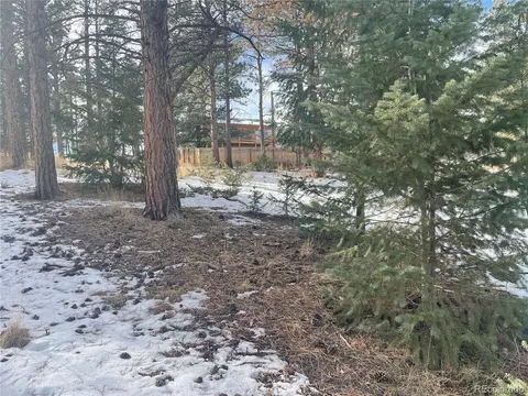 203 Neal St, Bailey, CO 80421 photo 2